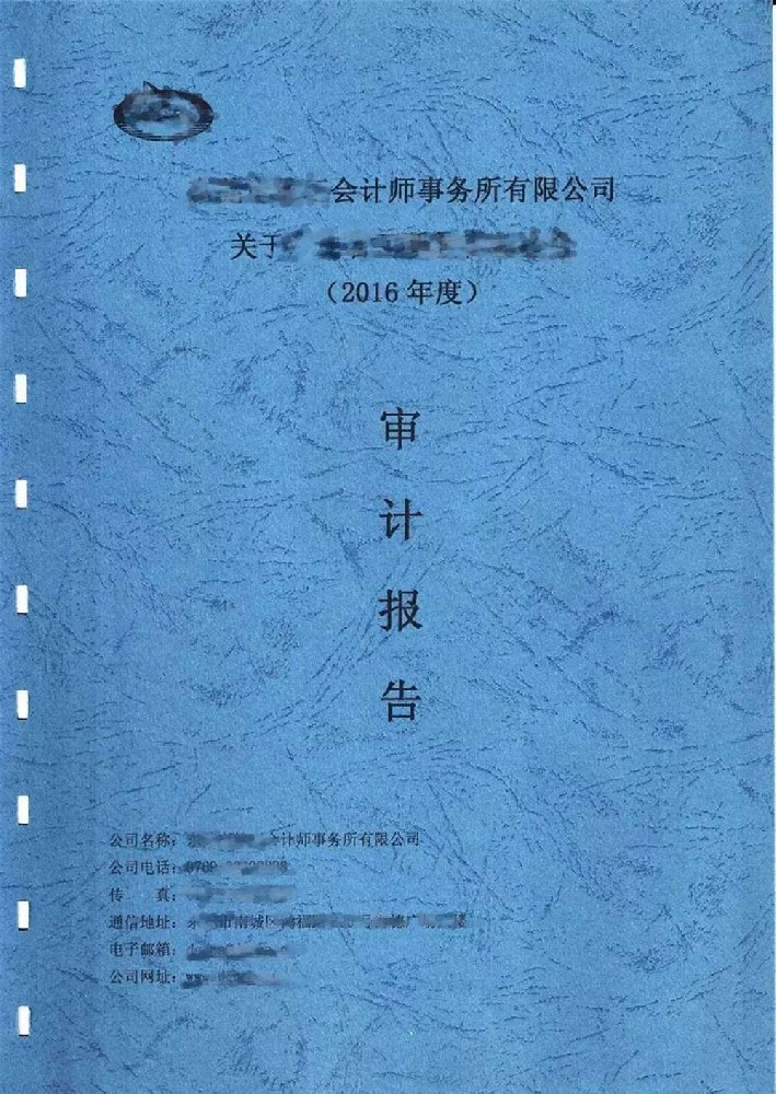 审计报告1